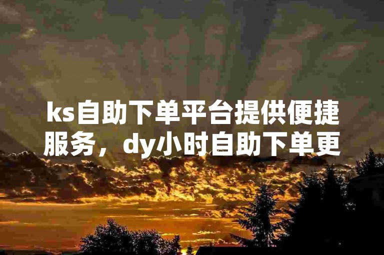 ks自助下单平台提供便捷服务，dy小时自助下单更高效。