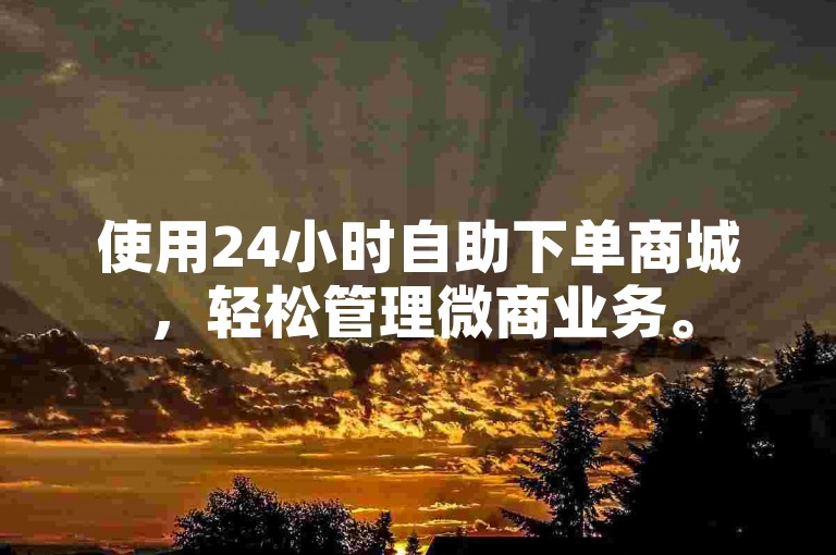 使用24小时自助下单商城，轻松管理微商业务。