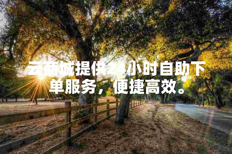 云商城提供24小时自助下单服务，便捷高效。