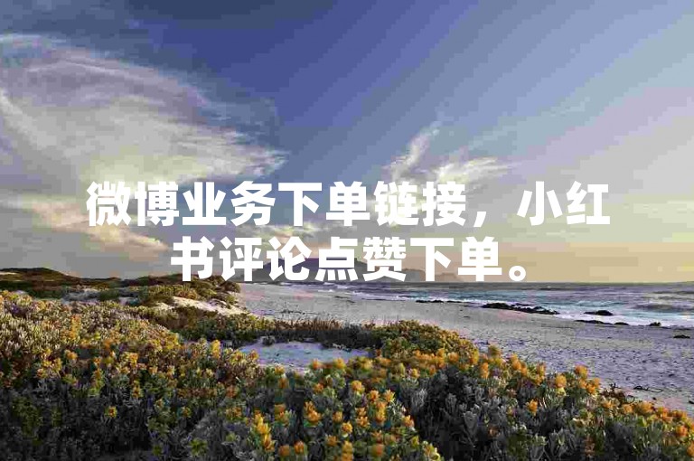 微博业务下单链接，小红书评论点赞下单。