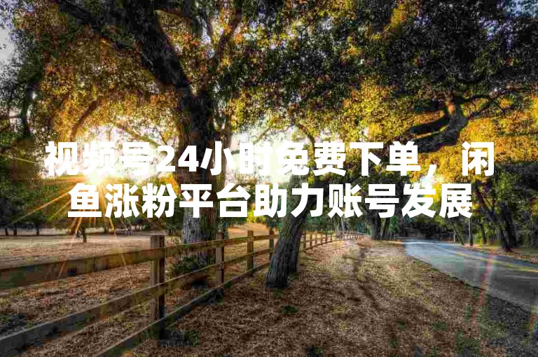 视频号24小时免费下单，闲鱼涨粉平台助力账号发展。