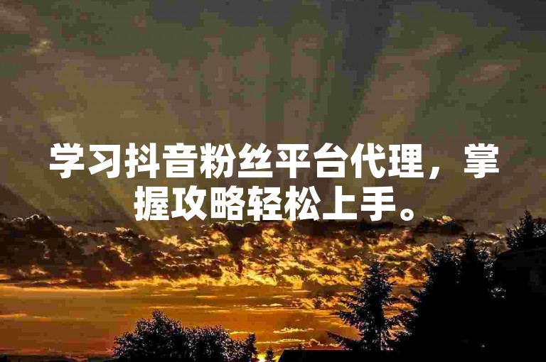 学习抖音粉丝平台代理，掌握攻略轻松上手。