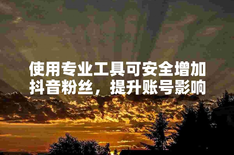 使用专业工具可安全增加抖音粉丝，提升账号影响力。