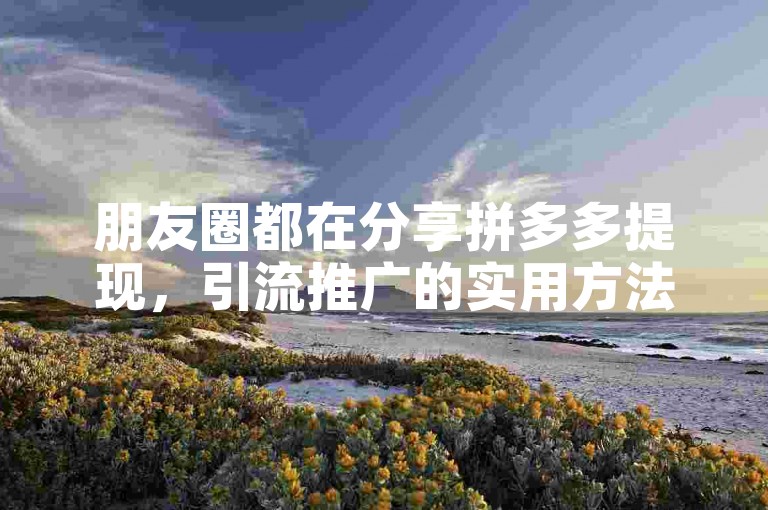 朋友圈都在分享拼多多提现，引流推广的实用方法。