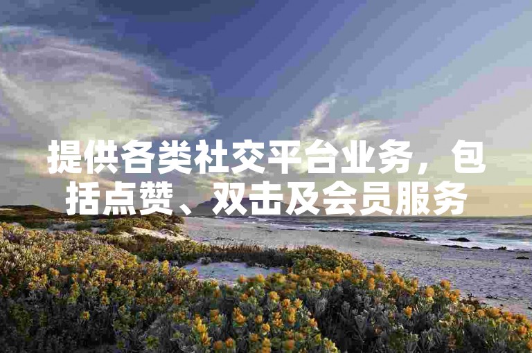 提供各类社交平台业务，包括点赞、双击及会员服务。