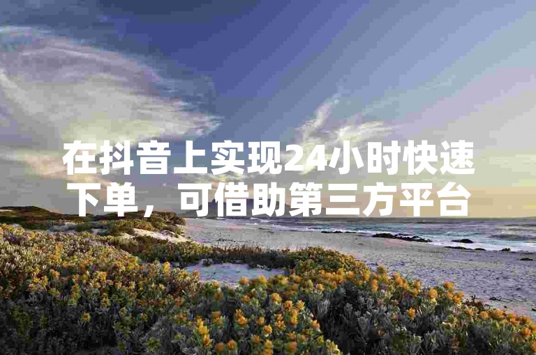 在抖音上实现24小时快速下单，可借助第三方平台或自动下单软件。