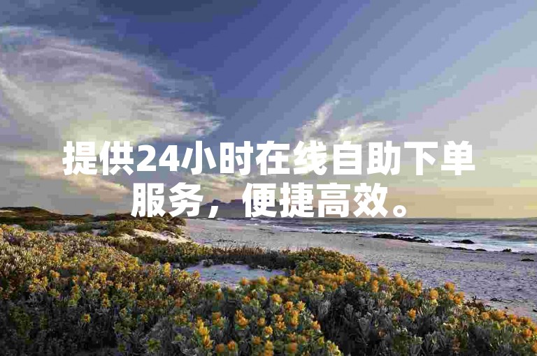 提供24小时在线自助下单服务，便捷高效。