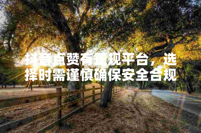 抖音点赞有正规平台，选择时需谨慎确保安全合规。