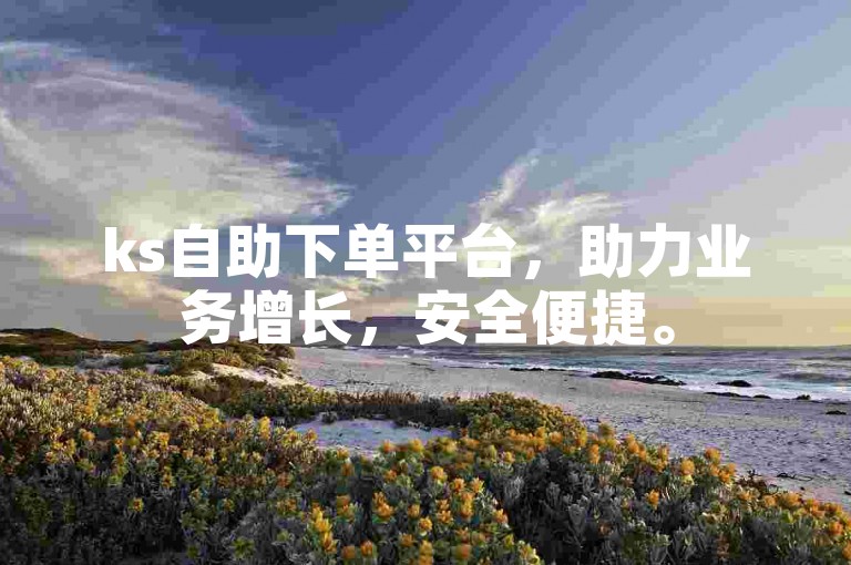 ks自助下单平台，助力业务增长，安全便捷。