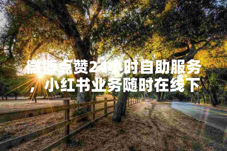 微博点赞24小时自助服务，小红书业务随时在线下单。