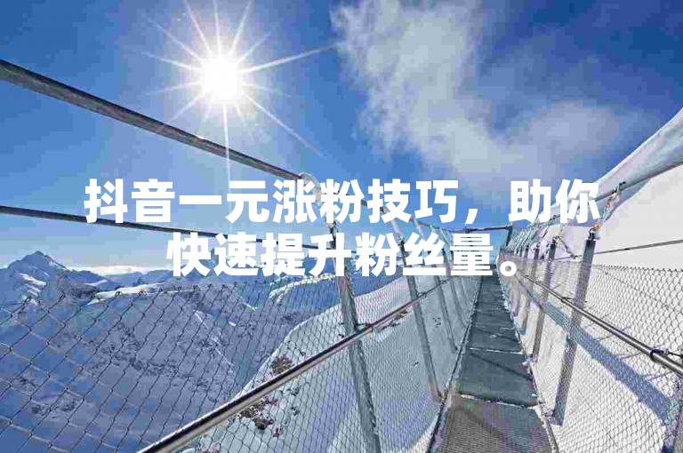 抖音一元涨粉技巧，助你快速提升粉丝量。
