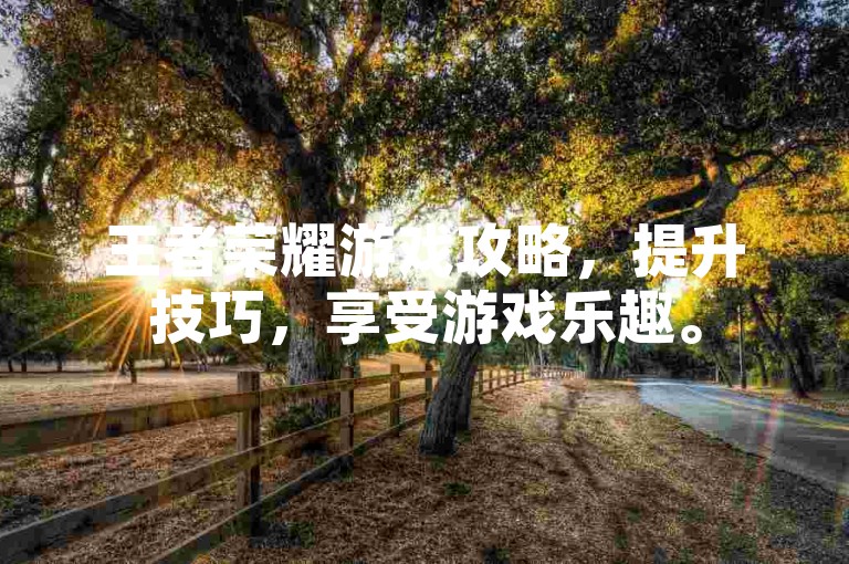 王者荣耀游戏攻略，提升技巧，享受游戏乐趣。