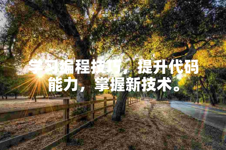 学习编程技巧，提升代码能力，掌握新技术。