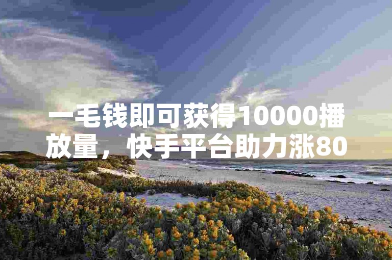 一毛钱即可获得10000播放量，快手平台助力涨8000粉丝。