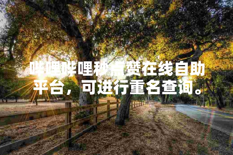 哔哩哔哩秒点赞在线自助平台，可进行重名查询。