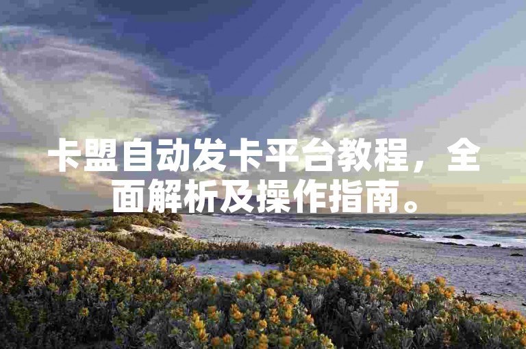 卡盟自动发卡平台教程，全面解析及操作指南。