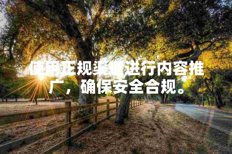 使用正规渠道进行内容推广，确保安全合规。
