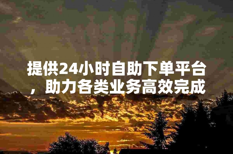 提供24小时自助下单平台，助力各类业务高效完成。