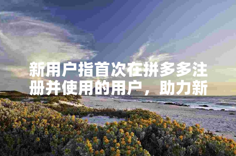 新用户指首次在拼多多注册并使用的用户，助力新人号可获优惠。