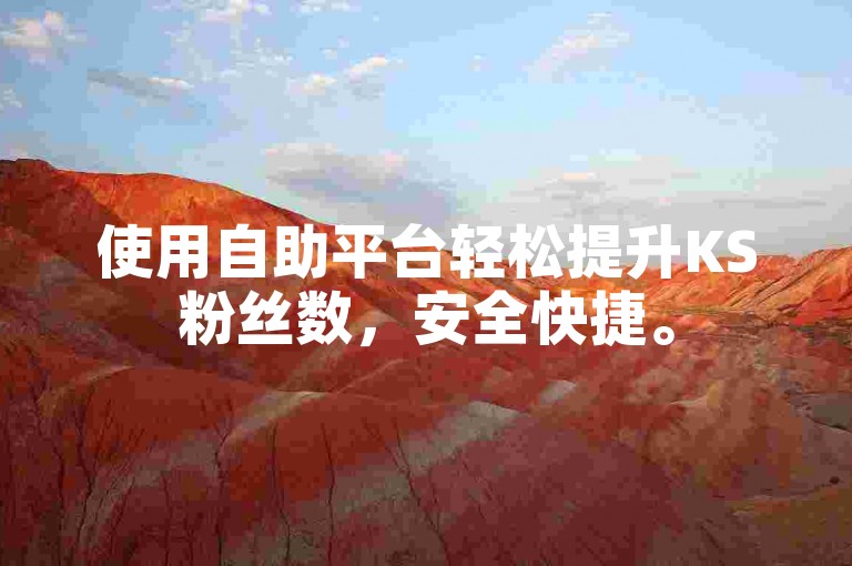 使用自助平台轻松提升KS粉丝数，安全快捷。