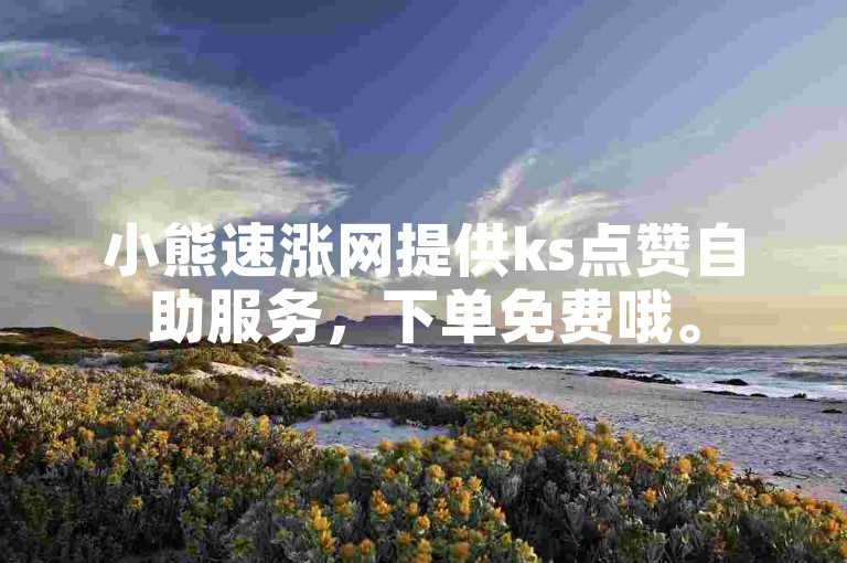 小熊速涨网提供ks点赞自助服务，下单免费哦。