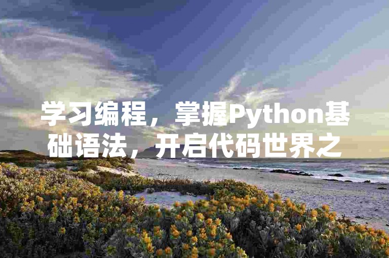 学习编程，掌握Python基础语法，开启代码世界之旅。
