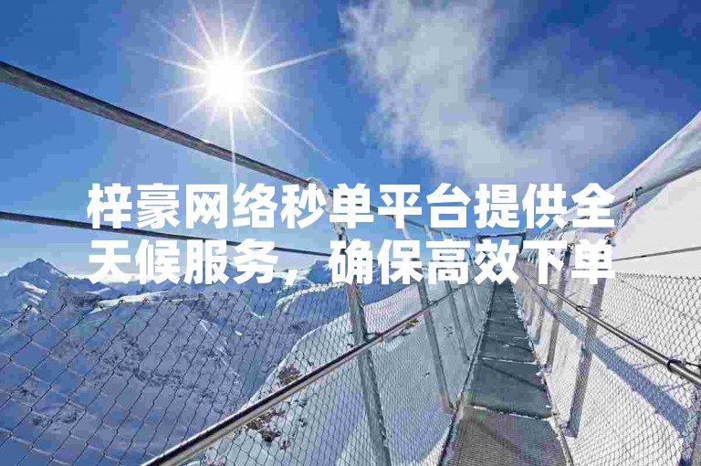 梓豪网络秒单平台提供全天候服务，确保高效下单。