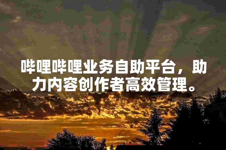 哔哩哔哩业务自助平台，助力内容创作者高效管理。