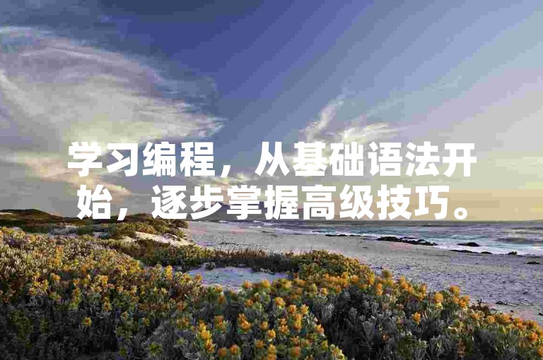 学习编程，从基础语法开始，逐步掌握高级技巧。