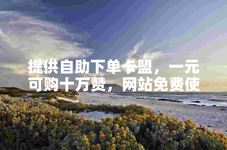 提供自助下单卡盟，一元可购十万赞，网站免费使用。