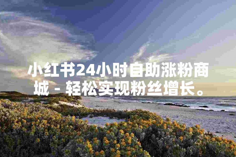 小红书24小时自助涨粉商城 - 轻松实现粉丝增长。
