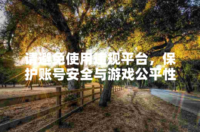 请避免使用违规平台，保护账号安全与游戏公平性。