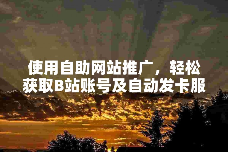 使用自助网站推广，轻松获取B站账号及自动发卡服务。