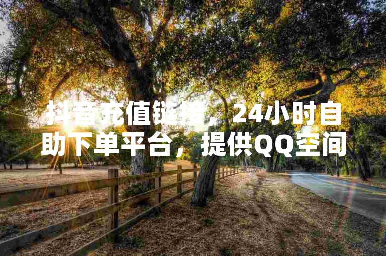 抖音充值链接，24小时自助下单平台，提供QQ空间访客业务。
