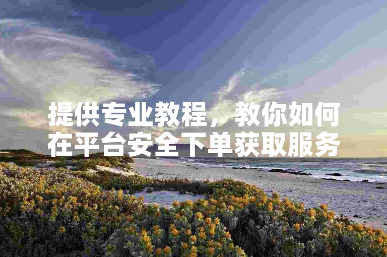 提供专业教程，教你如何在平台安全下单获取服务。