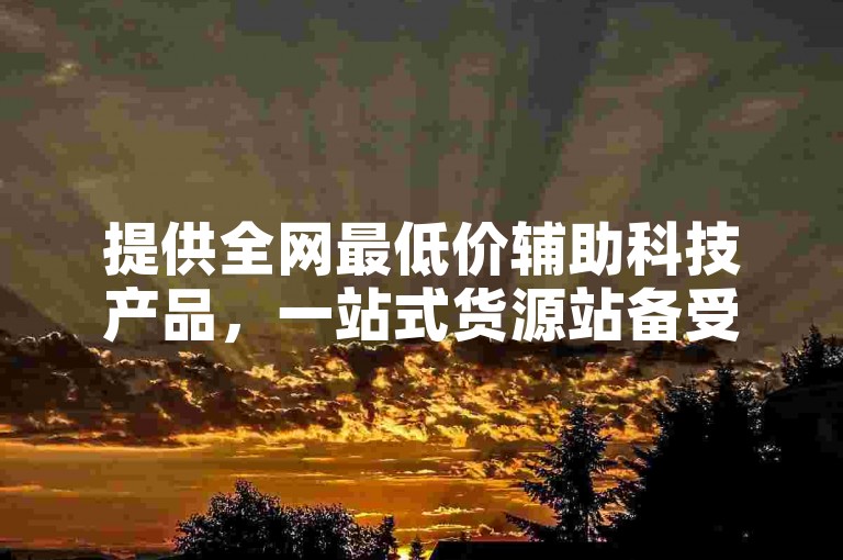 提供全网最低价辅助科技产品，一站式货源站备受瞩目。