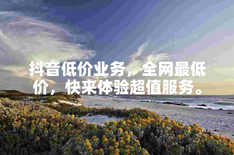 抖音低价业务，全网最低价，快来体验超值服务。