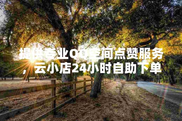 提供专业QQ空间点赞服务，云小店24小时自助下单。