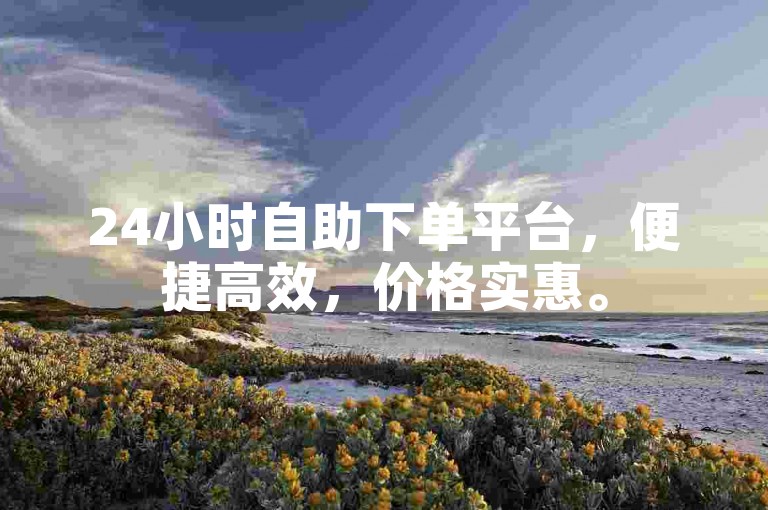 24小时自助下单平台，便捷高效，价格实惠。