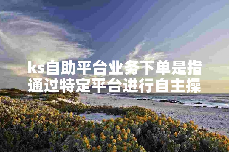 ks自助平台业务下单是指通过特定平台进行自主操作以完成相关服务购买的过程。
