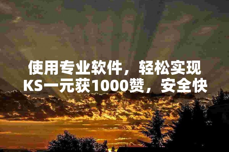 使用专业软件，轻松实现KS一元获1000赞，安全快捷。