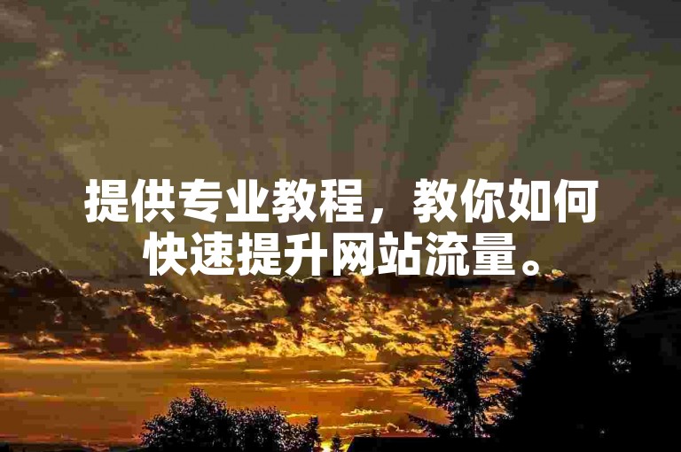 提供专业教程，教你如何快速提升网站流量。