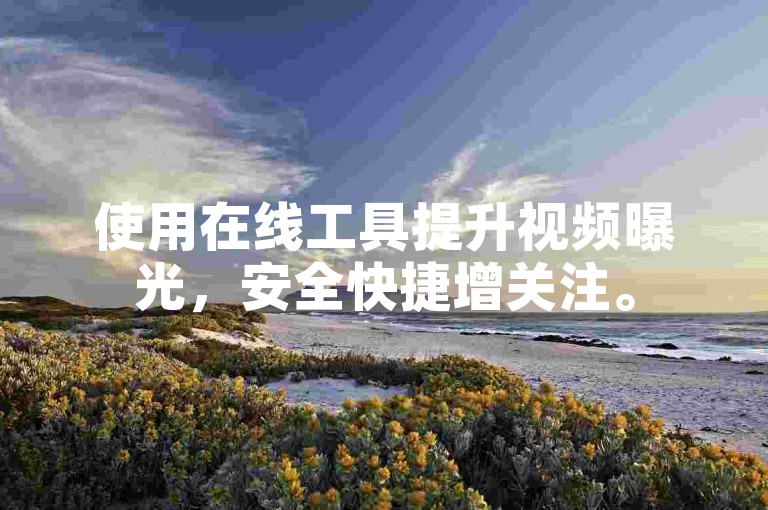 使用在线工具提升视频曝光，安全快捷增关注。