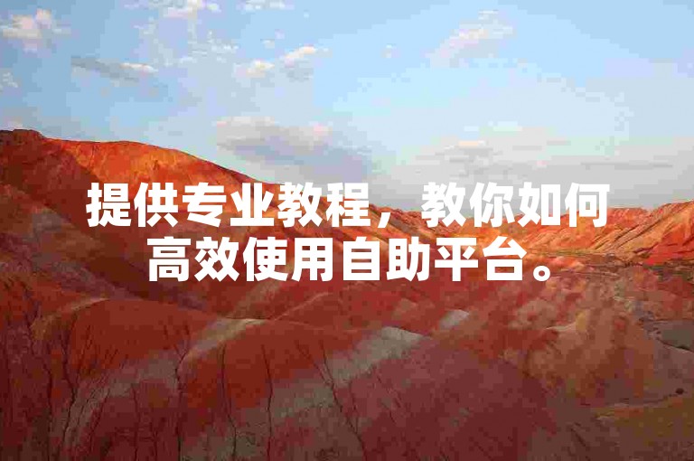 提供专业教程，教你如何高效使用自助平台。