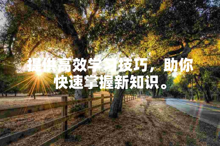 提供高效学习技巧，助你快速掌握新知识。