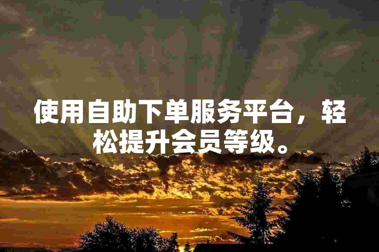 使用自助下单服务平台，轻松提升会员等级。