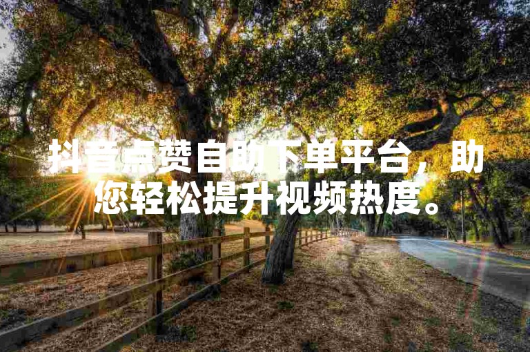 抖音点赞自助下单平台，助您轻松提升视频热度。