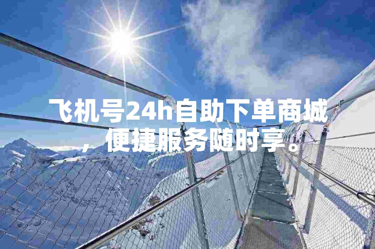 飞机号24h自助下单商城，便捷服务随时享。