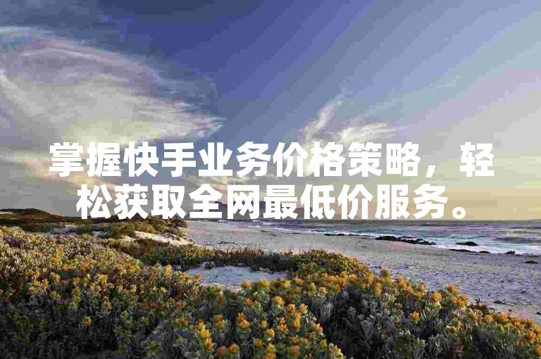 掌握快手业务价格策略，轻松获取全网最低价服务。