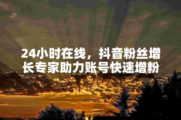 24小时在线，抖音粉丝增长专家助力账号快速增粉。